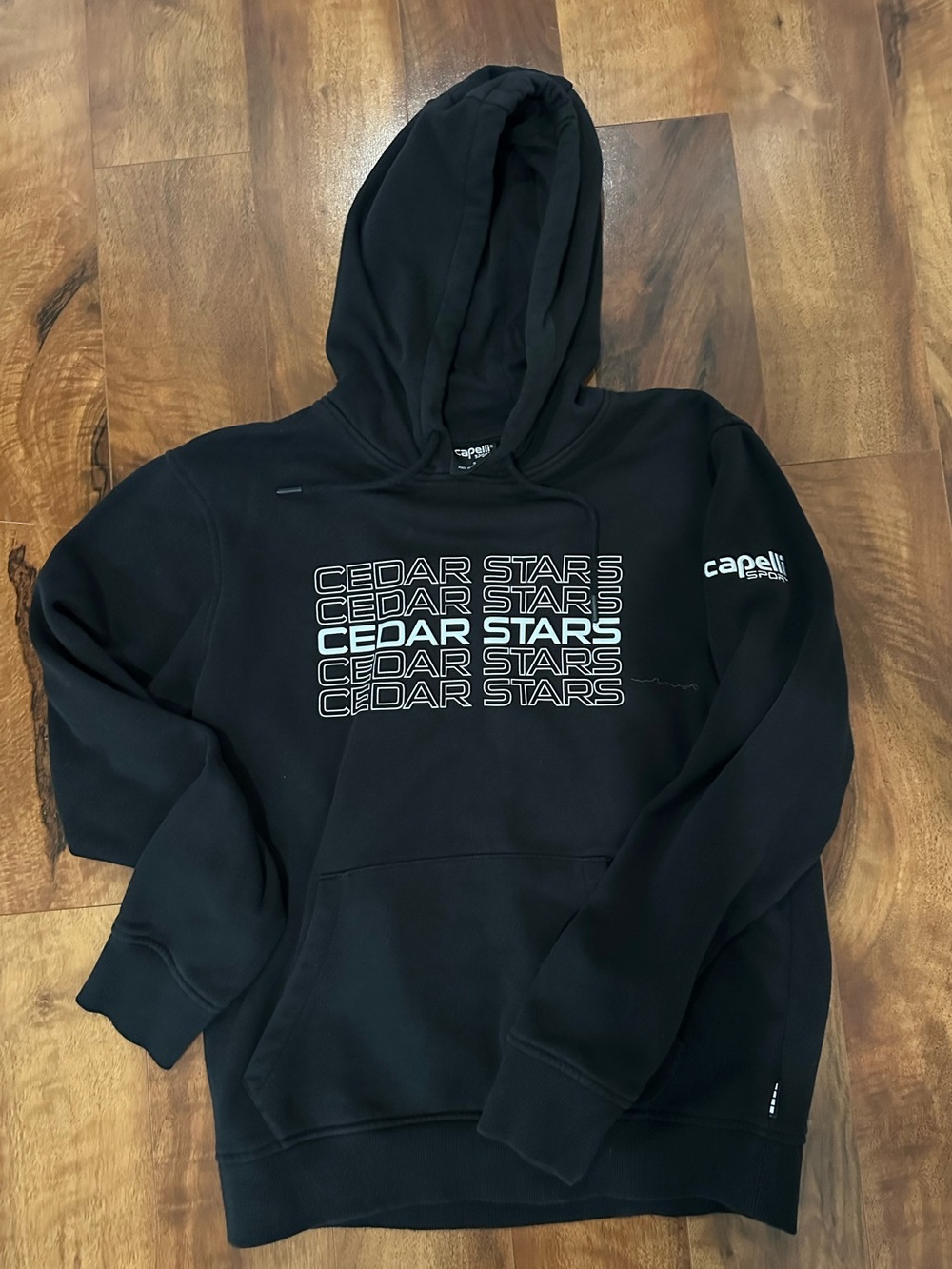 Men or women’s Capelli of New York Black Cedar Stars Graphic Pullover Hoodie